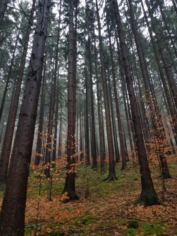 Horska Chata V Srdci Kremnickych Hor Banská Bystrica Exterior photo